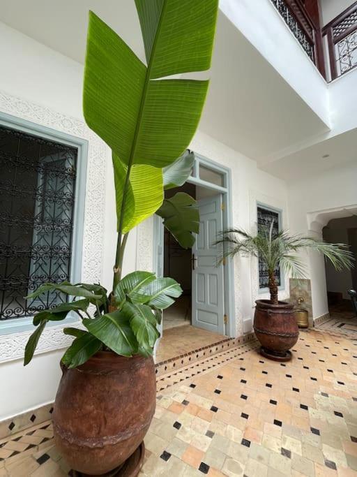 Riad Vivre - Design Boutique Riad In Marrakech Marrakesh Eksteriør billede