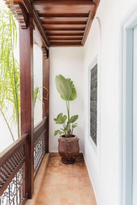 Riad Vivre - Design Boutique Riad In Marrakech Marrakesh Eksteriør billede
